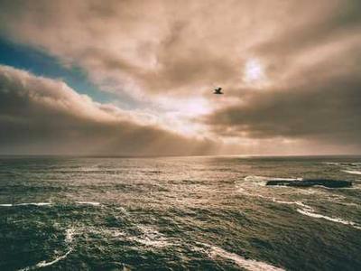 16 Best Heat Protectant Sprays for Wet and Dry Hair (2026)