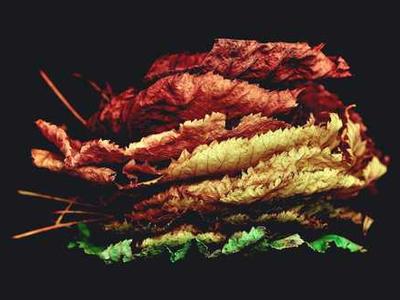 The grief when AI writes most of the code